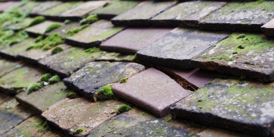 Nettlebed roof repair costs
